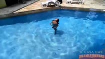 Lola nada peladinha na piscina da CASA DAS BRASILEIRINHAS